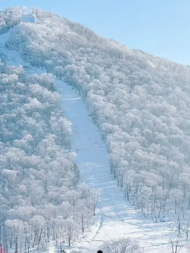今日北大湖霧淞大賞,最強看霧淞攻略 今日北大湖霧淞大賞,最強看霧淞攻略