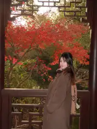 在家門口的中式園林 拍到了秋日氛圍大片