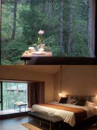 武夷山養巖山房:藏於松林的禪意棲居