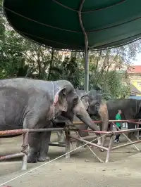曼聽公園有自己的翡翠湖(附攻略