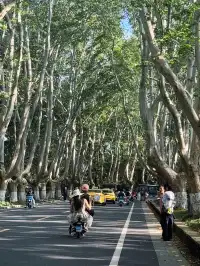 於是我逢人便說南京美