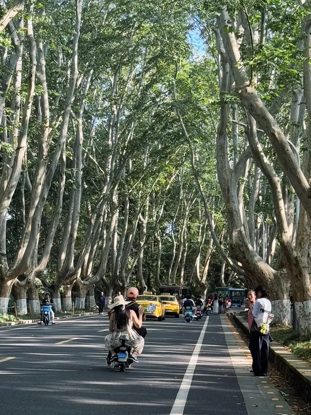 於是我逢人便說南京美