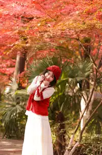 12·1南京棲霞山紅楓進入觀賞期～附路線～