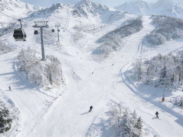 Beidahu Ski Resort: Asia’s Largest Powder Paradise with Onsen Bliss 🌨️ Beidahu Ski Resort: Asia’s Largest Powder Paradise with Onsen Bliss 🌨️