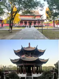 上海週末11|我在乾隆故里拍到了鵝生照片