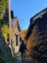 常滑市｜日本最大的「招財貓」產地