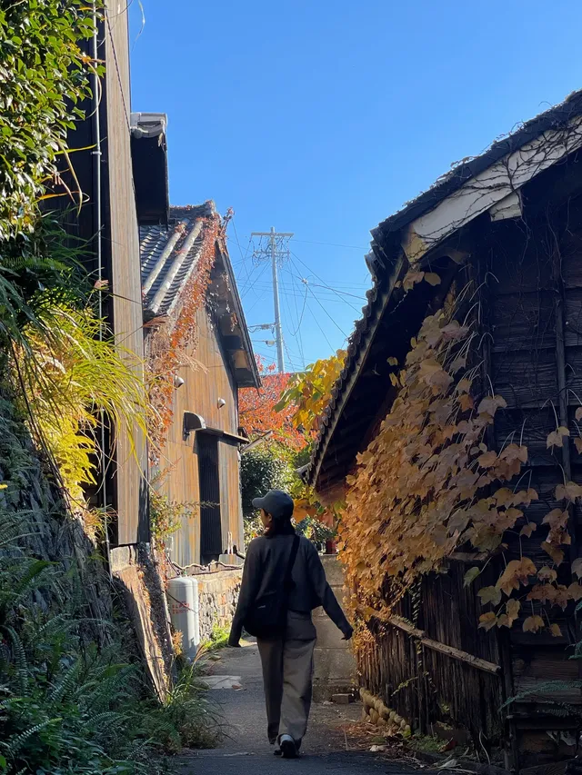 常滑市｜日本最大的「招財貓」產地