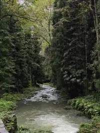 張家界24h|從仙境跌入千年非遺夜宴