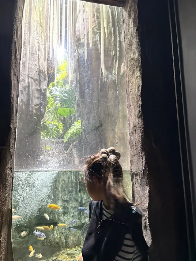 三生三世｜上海溫室花園 人少篇