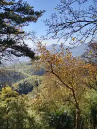 週末玩轉湖州莫干山 and 下渚湖濕地公園