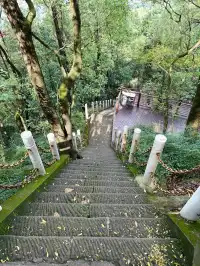 重慶主城!最喜歡的citywalk路線好治癒…