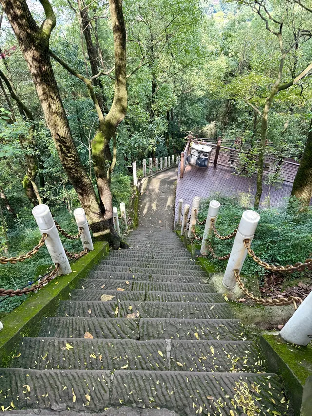 重慶主城!最喜歡的citywalk路線好治癒… 重慶主城!最喜歡的citywalk路線好治癒…