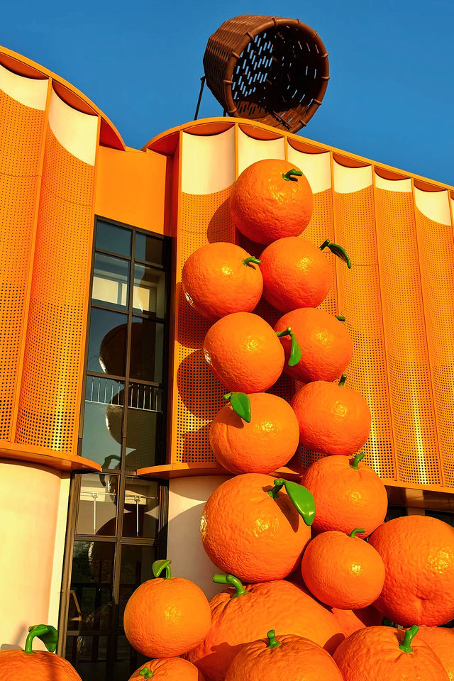 江浙滬冬季限定|0元打卡山頂橘子海日落絕絕子! 江浙滬冬季限定|0元打卡山頂橘子海日落絕絕子!