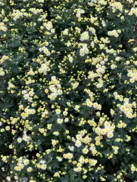 湖北新生旅遊年卡武漢植物園全攻略