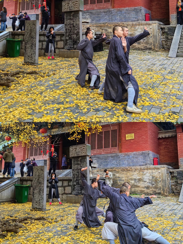 5日玩轉鄭汴洛不看後悔 5日玩轉鄭汴洛不看後悔