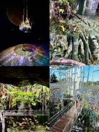 上海世博文化公園溫室花園|現實版「瘋狂動物城」~