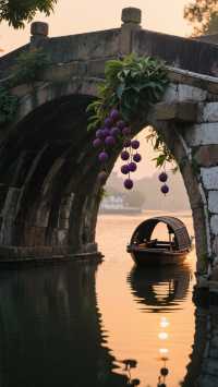 楓涇古鎮|滬浙交界1500年的酒香秘境,沉浸式打卡江南活態博