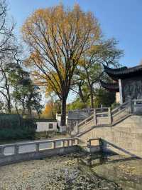 清涼山公園才是金陵賞秋天花板!