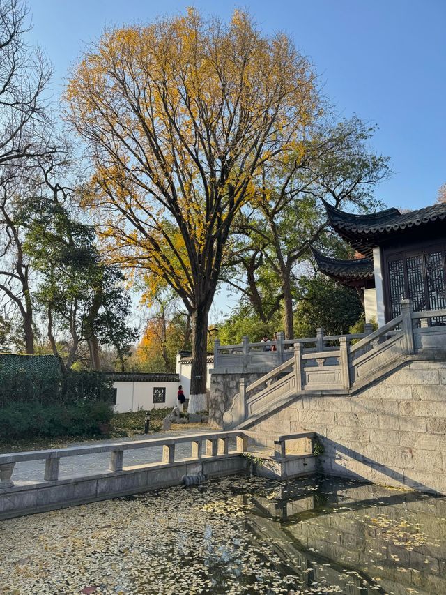 清涼山公園才是金陵賞秋天花板! 清涼山公園才是金陵賞秋天花板!