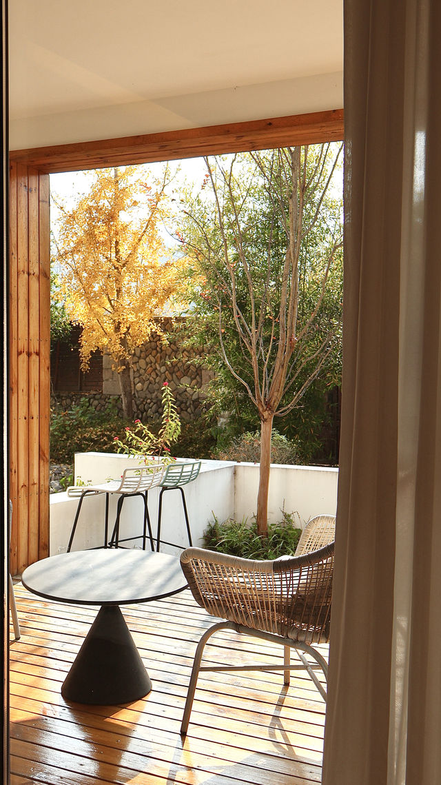 為了這棵1000年銀杏 我特意去了趟永嘉 為了這棵1000年銀杏 我特意去了趟永嘉