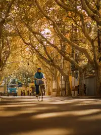 老錢風穿搭魔都秋日法式梧桐區citywalk