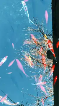 傳說中的“琉璃海”，我在濟南找到了！