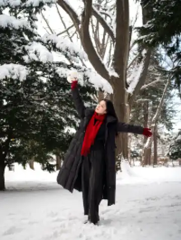 北海道雪又開始下了。