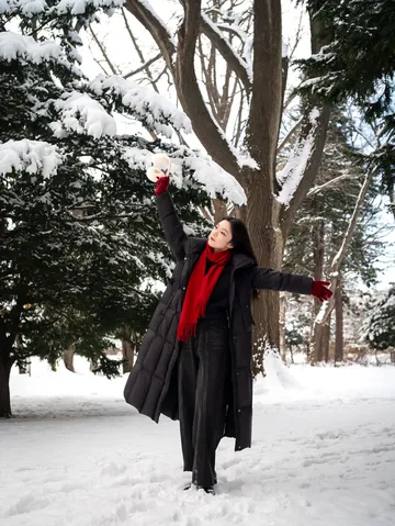 北海道雪又開始下了。