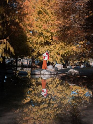 Freeze the last day of 2025 in the wintery Taxodium fairy tale forest