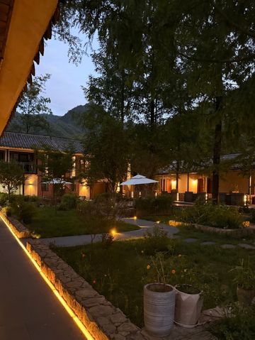 上海蓮湖村賞荷 一發圈就被問爆的鄉里宿 上海蓮湖村賞荷 一發圈就被問爆的鄉里宿