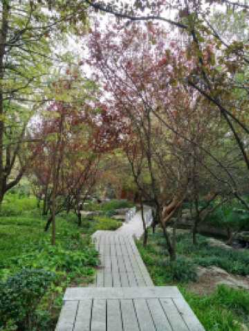 免費且24h開放!上海小眾江景公園,騎行觀鳥太絕了