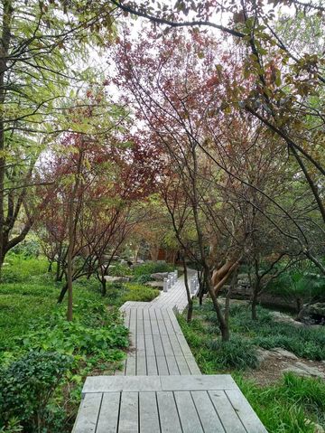 免費且24h開放!上海小眾江景公園,騎行觀鳥太絕了 免費且24h開放!上海小眾江景公園,騎行觀鳥太絕了