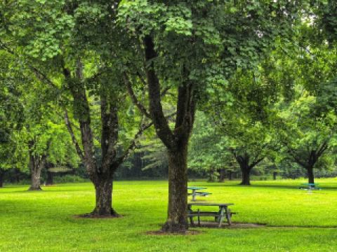 Watkins Glen State Park, a wonder of water and rock formations