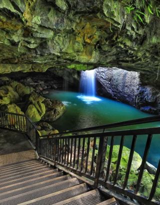 春の夜、スプリングブルック国立公園での魔法の青い光る虫ツアー