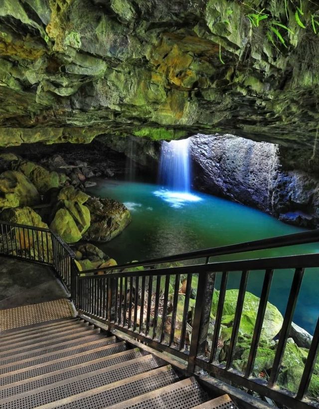 Magical Blue Glow Worm Night Tour in Springbrook Magical Blue Glow Worm Night Tour in Springbrook