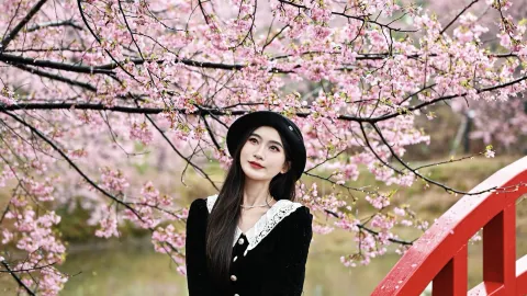 Changning Million Cherry Blossom Garden｜Immersive Cherry Blossom Viewing and Photo Tour Guide — traveler post in Changning
