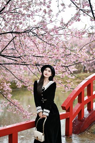 สวนซากุระล้านดอก | คู่มือการชมซากุระ การถ่ายภาพ และการท่องเที่ยวแบบเจาะลึก