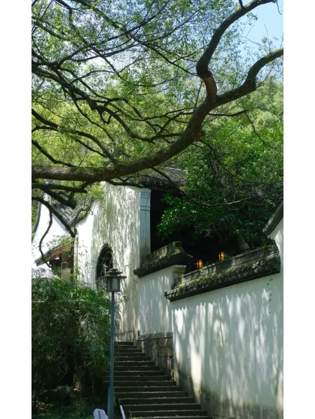 Deep exploration of Hangzhou Hupao Park's ancient temple serenity, get the same coin challenge with spring water!