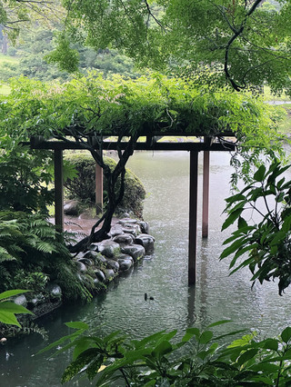 菊花輝映與楓葉火焰:新宿御苑的十一月故事