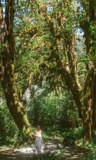 Olympic National Park in early summer is Seattle's best weekend getaway