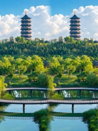 Lotus pond sunset photo spot