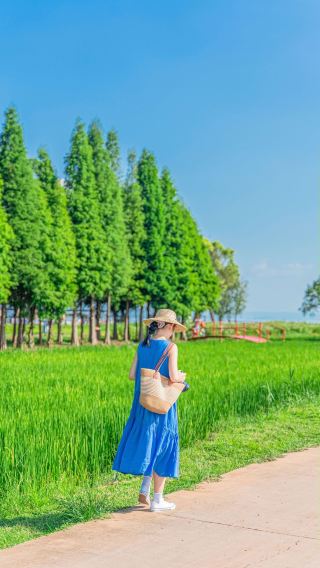 Kunming self-driving tour | healing mountain and sea sunset + laid-back hotel guide