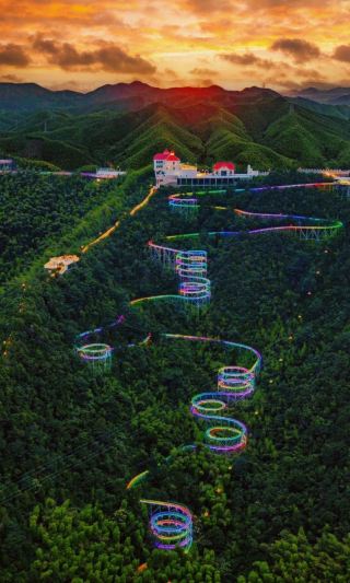 Moganshan | You’re missing out if you don’t know about the cool glowing night event