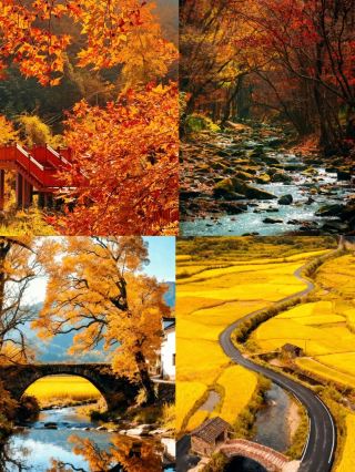 10月の逆張り旅行、低予算、貧乏旅行、5つの穴場都市