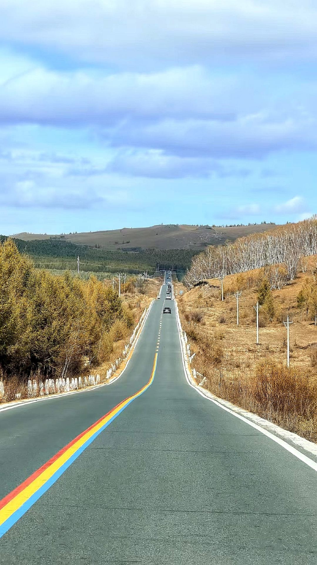 A must-drive in your lifetime! Inner Mongolia hides a "mini Duku Highway of the grasslands," where 80 kilometers offer views of forests and grasslands.