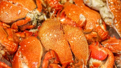 Crab Feast · Encounter Autumn Crab Buffet at Atrium Café✨ — traveler post in Kunming