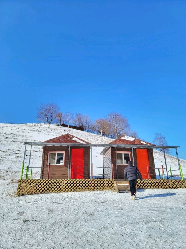 태백에서 눈구경 하기 좋은 산양목장🐏❄️