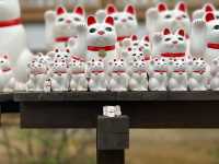 【豪徳寺】招き猫に囲まれるしあわせ♡