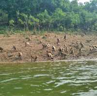 ภารกิจ ล่องเรือ ให้อาหารลิงที่ แก่งกระจาน