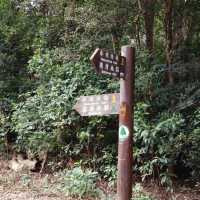 麥理浩徑第4段